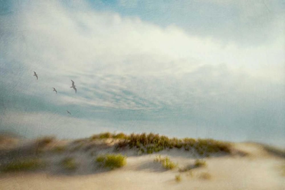Dunes 1 art print by Dawn D. Hanna for $57.95 CAD