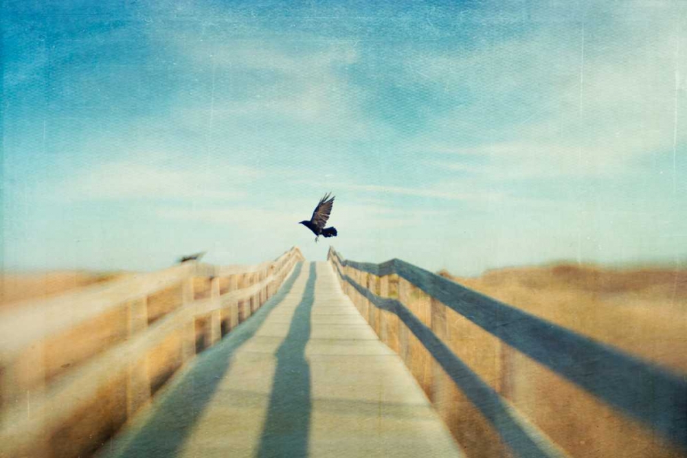 Fly art print by Dawn D. Hanna for $57.95 CAD