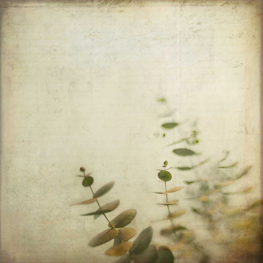 Union art print by Dawn D. Hanna for $57.95 CAD