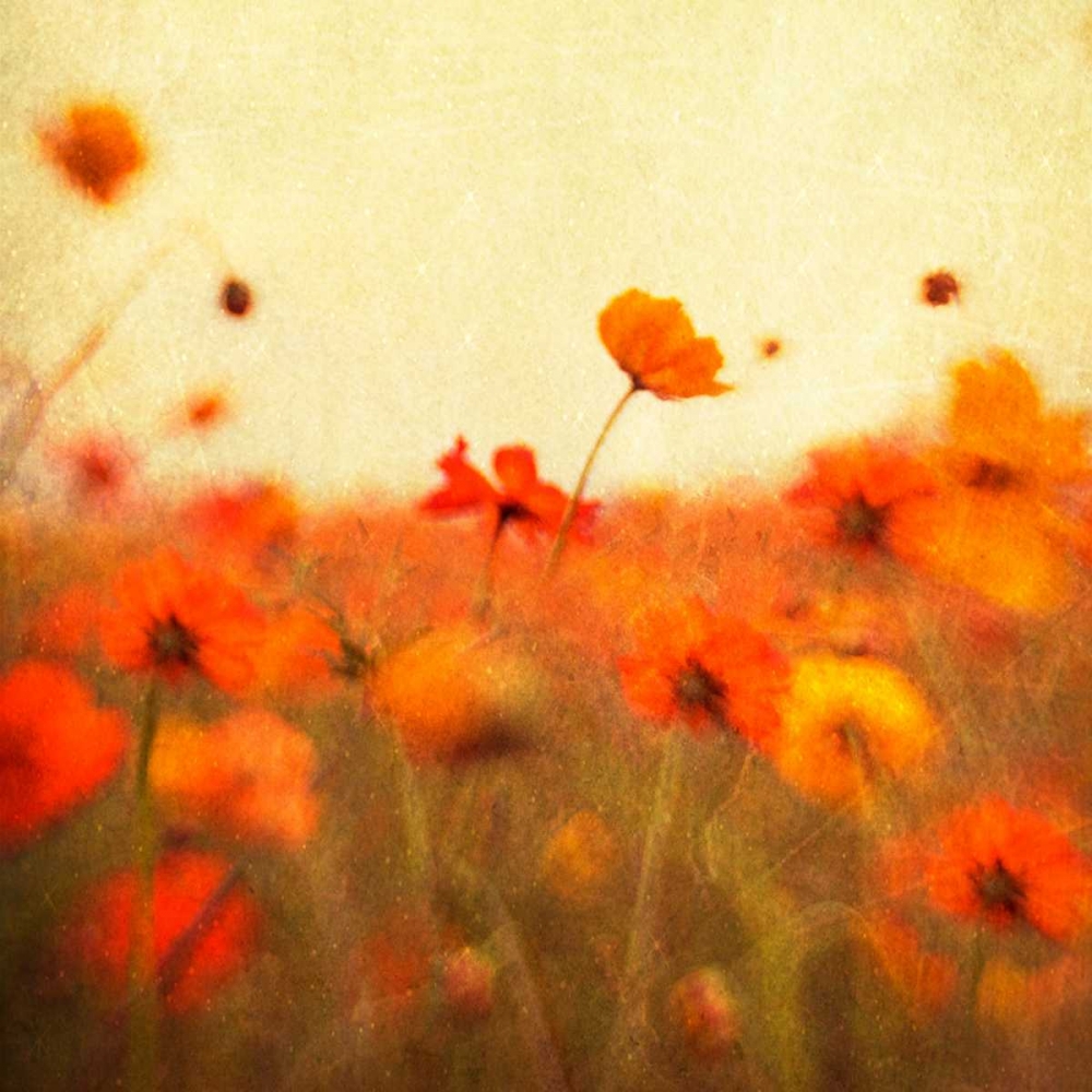 Orange Happiness art print by Dawn D. Hanna for $57.95 CAD