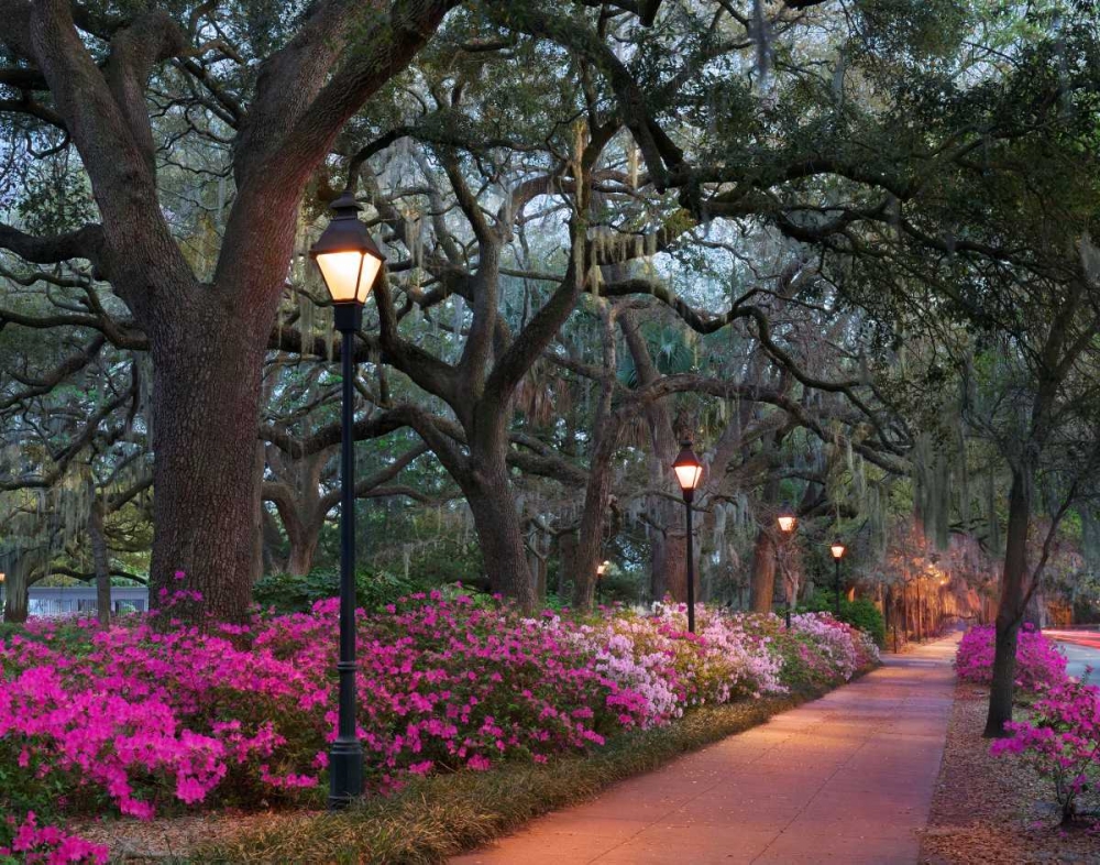 Forsythe Park art print by Winthrope Hiers for $57.95 CAD