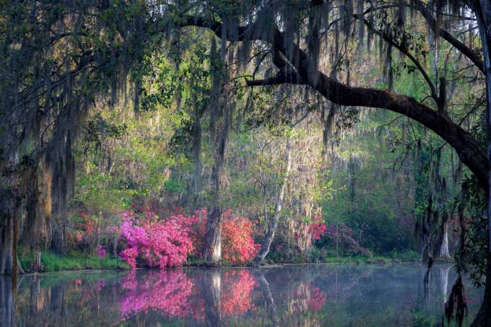 Morning Serenity art print by H.J. Herrera for $57.95 CAD