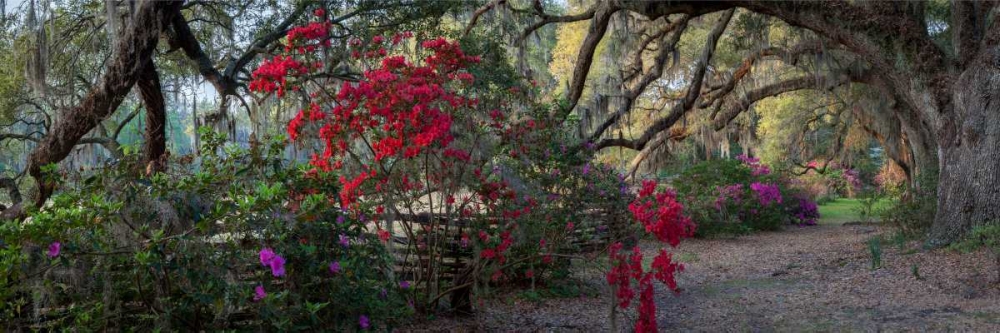 Springtime Morning art print by H.J. Herrera for $57.95 CAD