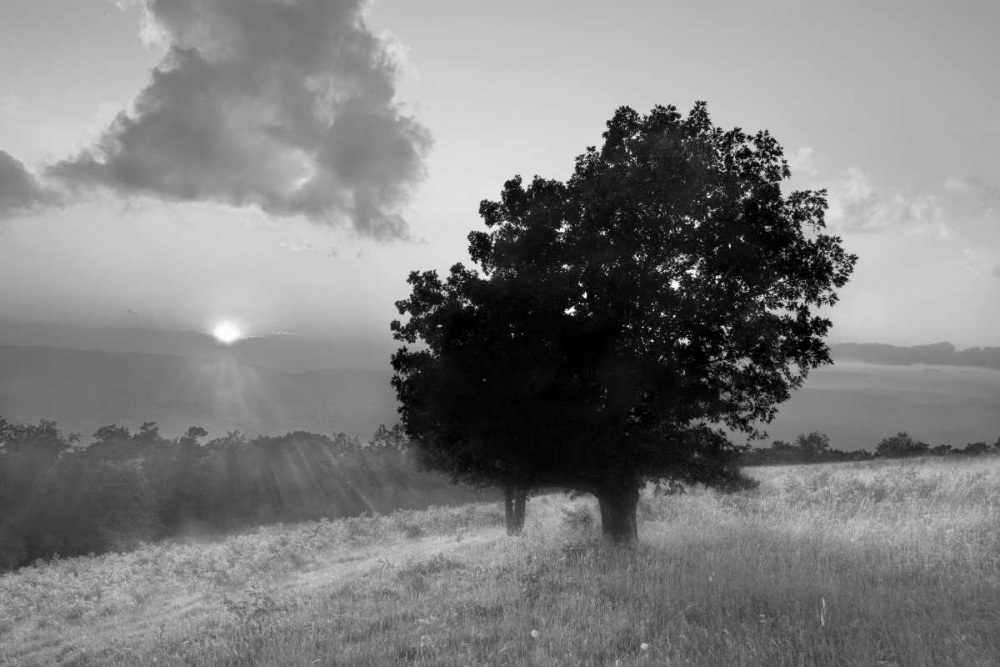 Spitler Knoll Overlook art print by Winthrope Hiers for $57.95 CAD