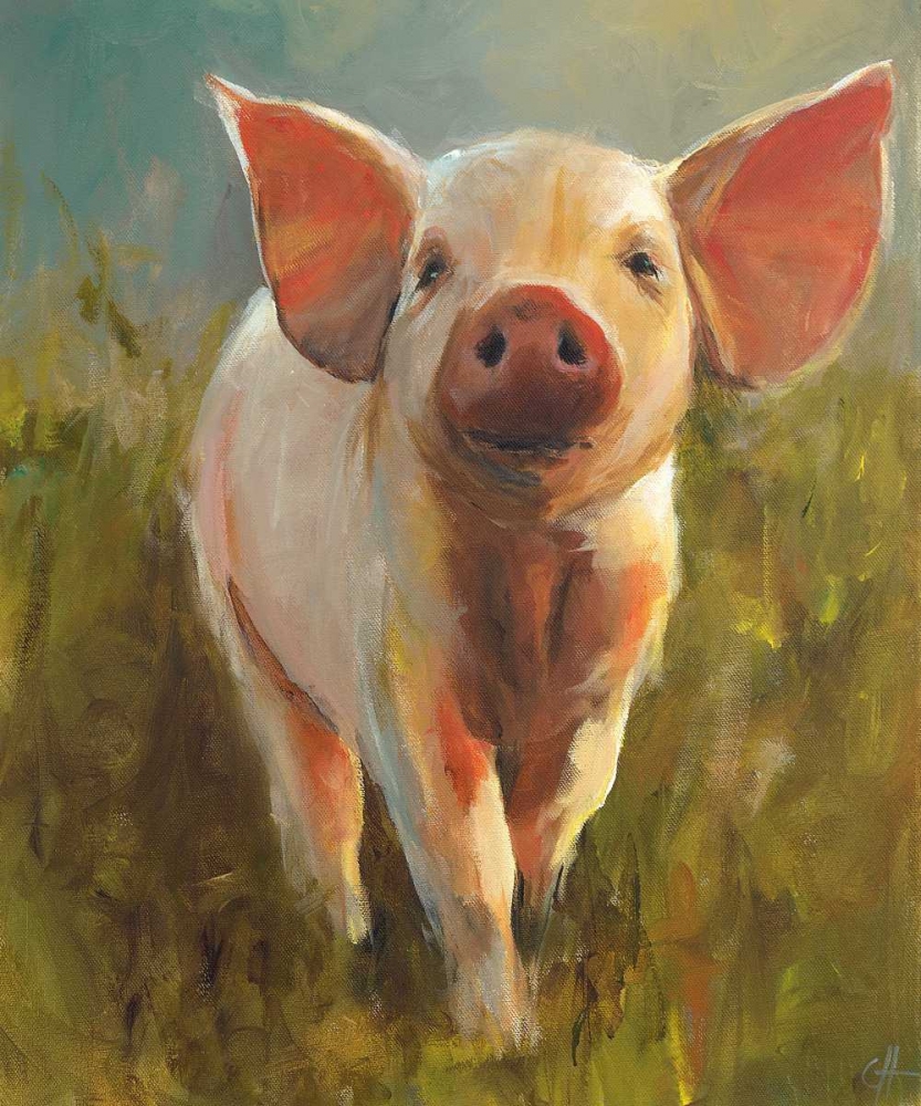 Morning Pig art print by Cari J. Humphry for $57.95 CAD