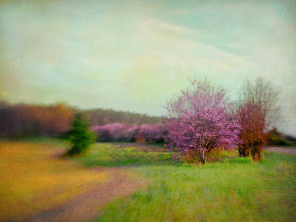 Nature Is Divine art print by Dawn D. Hanna for $57.95 CAD