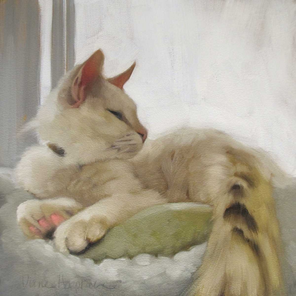 Through the Window art print by Diane Hoeptner for $57.95 CAD