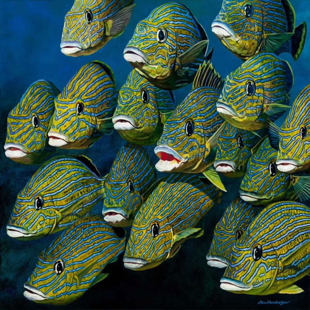 Shoal of Grunts art print by Jan Henderson for $57.95 CAD