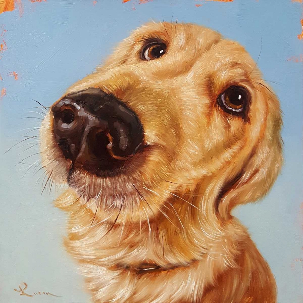 Follow Your Nose 4 art print by Lucia Heffernan for $57.95 CAD