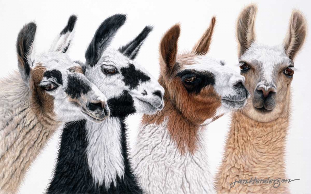 Peruvian Visitors art print by Jan Henderson for $57.95 CAD