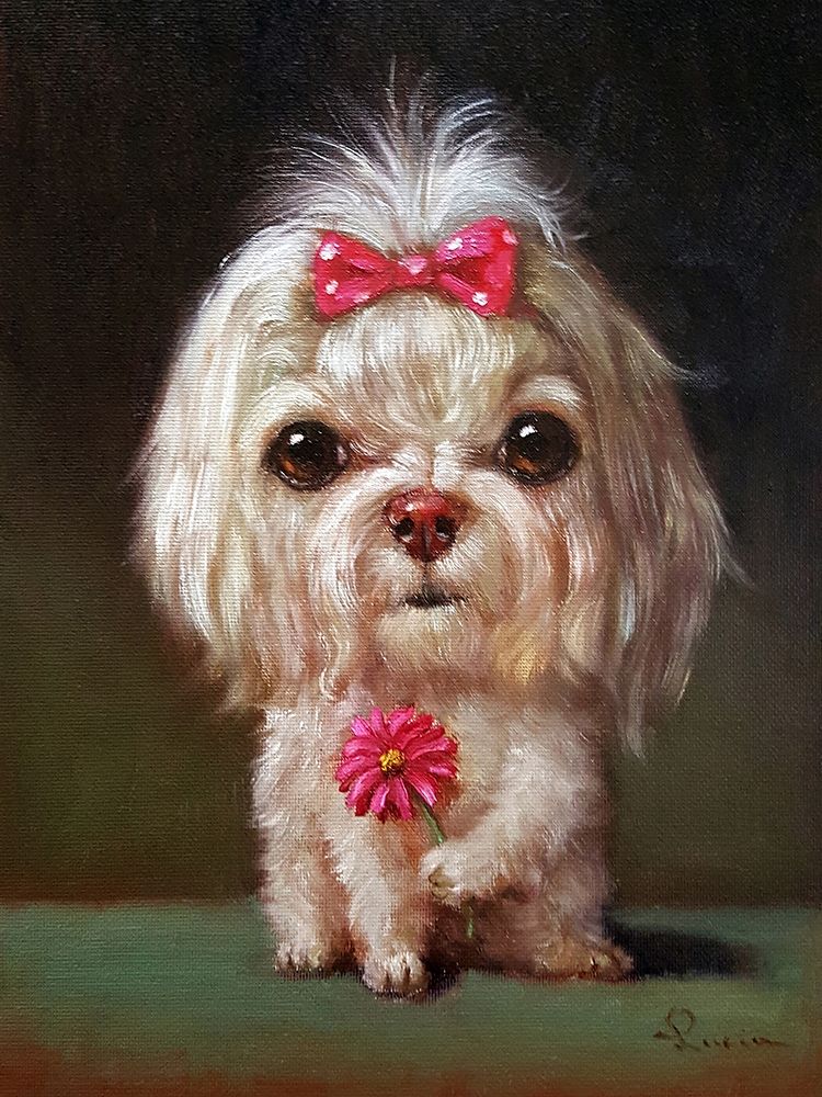 Sophie art print by Lucia Heffernan for $57.95 CAD