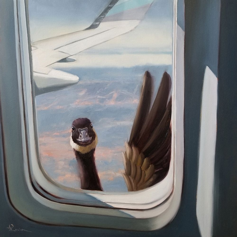 Friendly Skies art print by Lucia Heffernan for $57.95 CAD