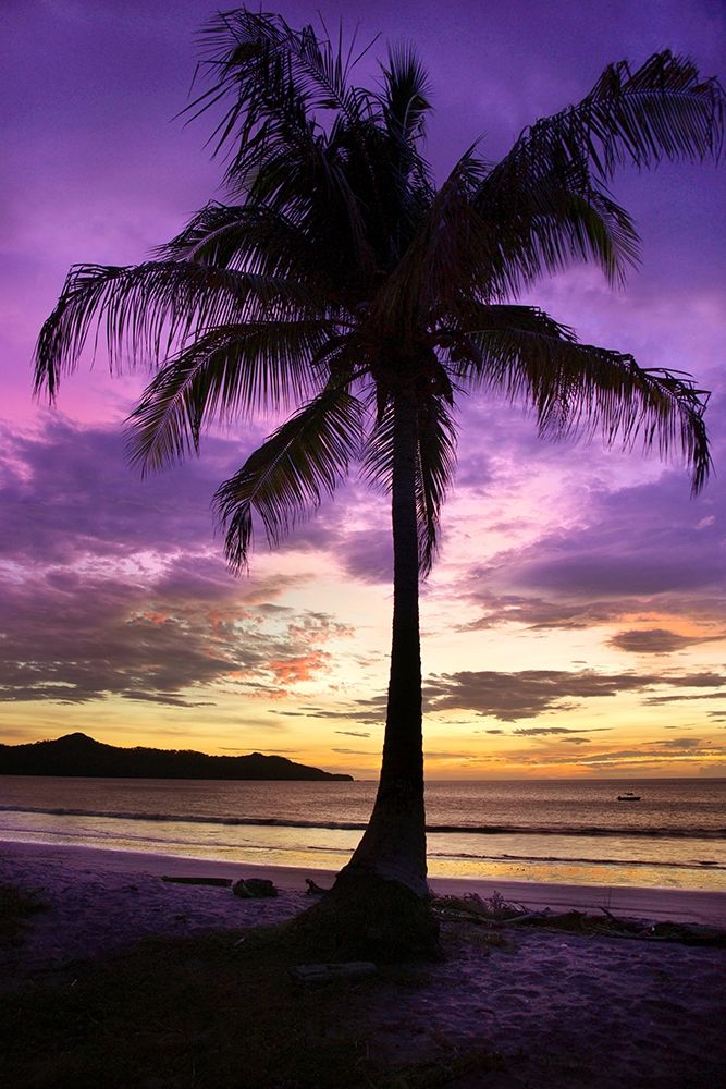 Brasalito Bay, Costa Rica art print by Winthrope Hiers for $57.95 CAD