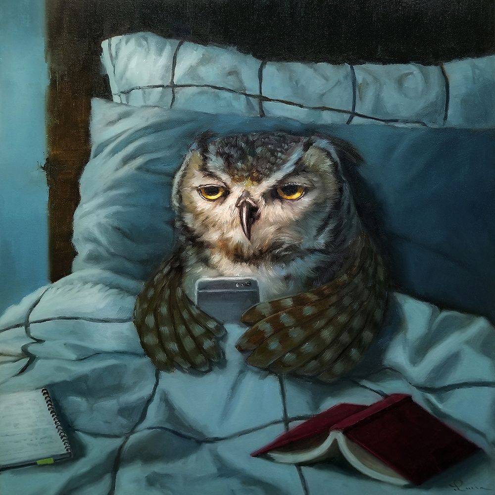 Night Owl art print by Lucia Heffernan for $57.95 CAD