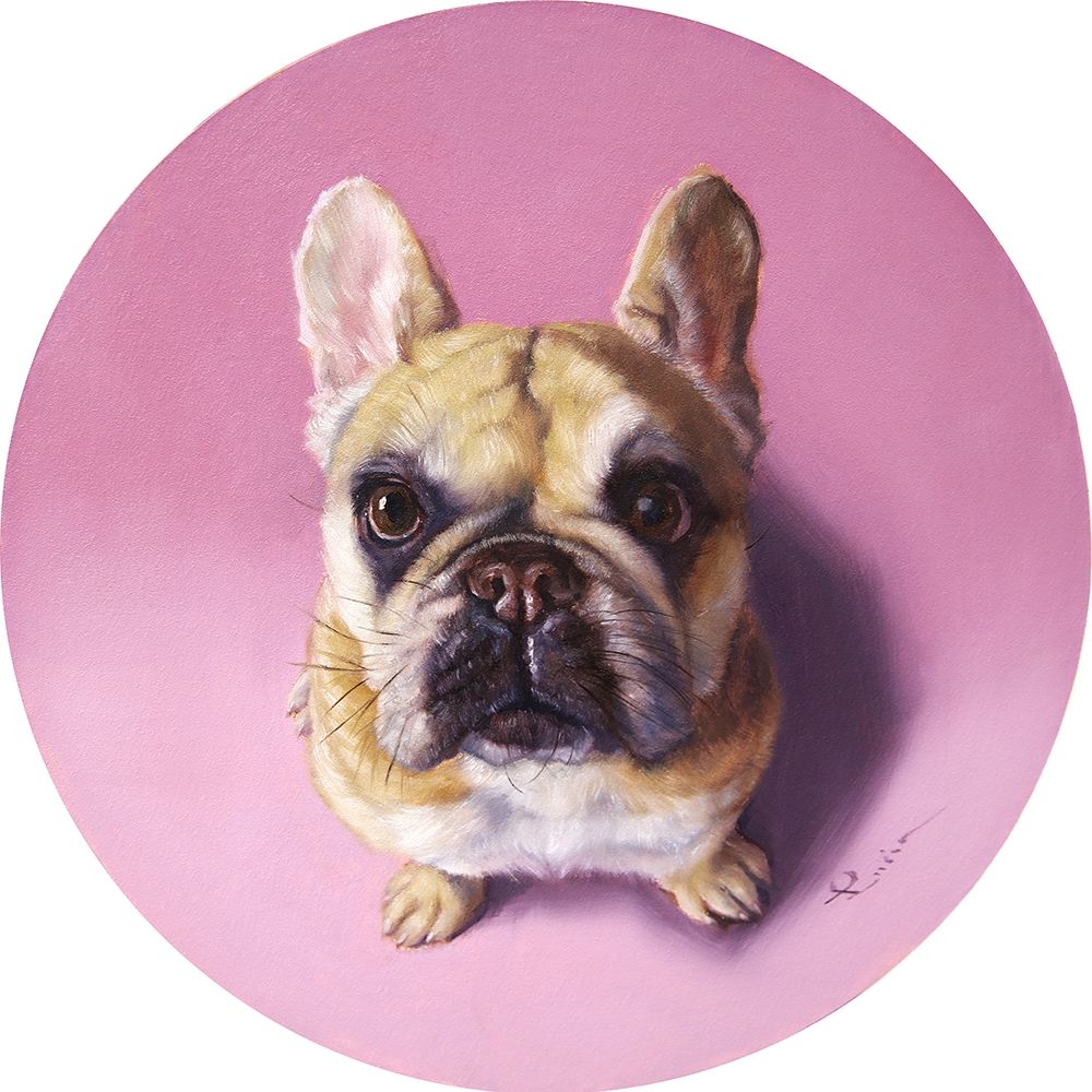 Charlotte art print by Lucia Heffernan for $57.95 CAD