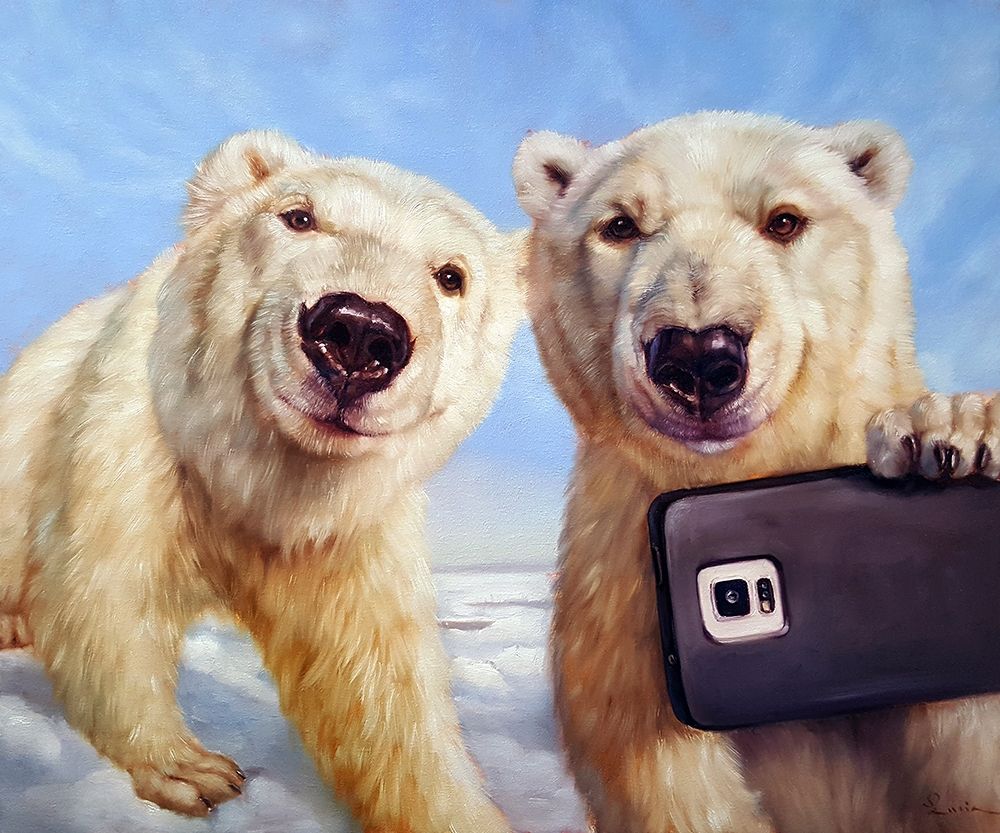Polargram art print by Lucia Heffernan for $57.95 CAD