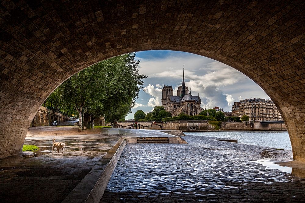 Chien et Notre Dame art print by H.J. Herrera for $57.95 CAD