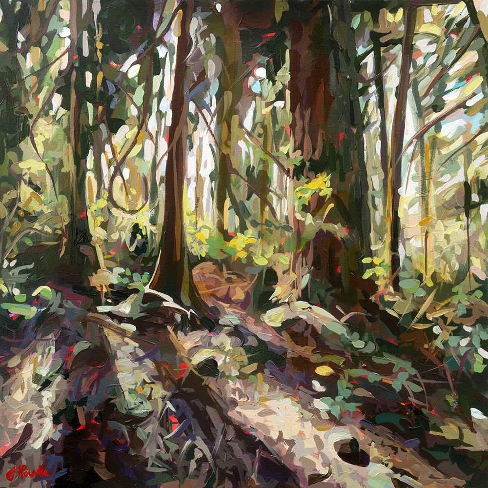 Cedar Shadows art print by Joanne Hastie for $57.95 CAD
