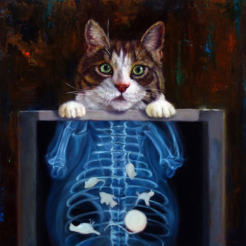 Cat Scan art print by Lucia Heffernan for $57.95 CAD