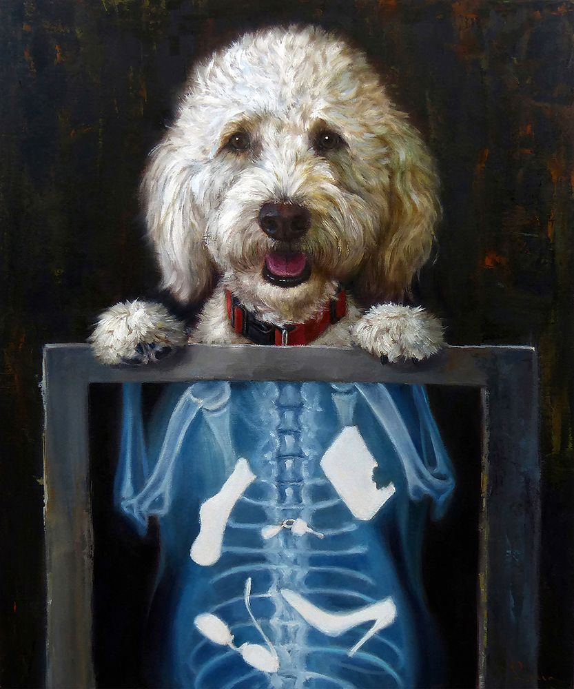 Inside Story art print by Lucia Heffernan for $57.95 CAD