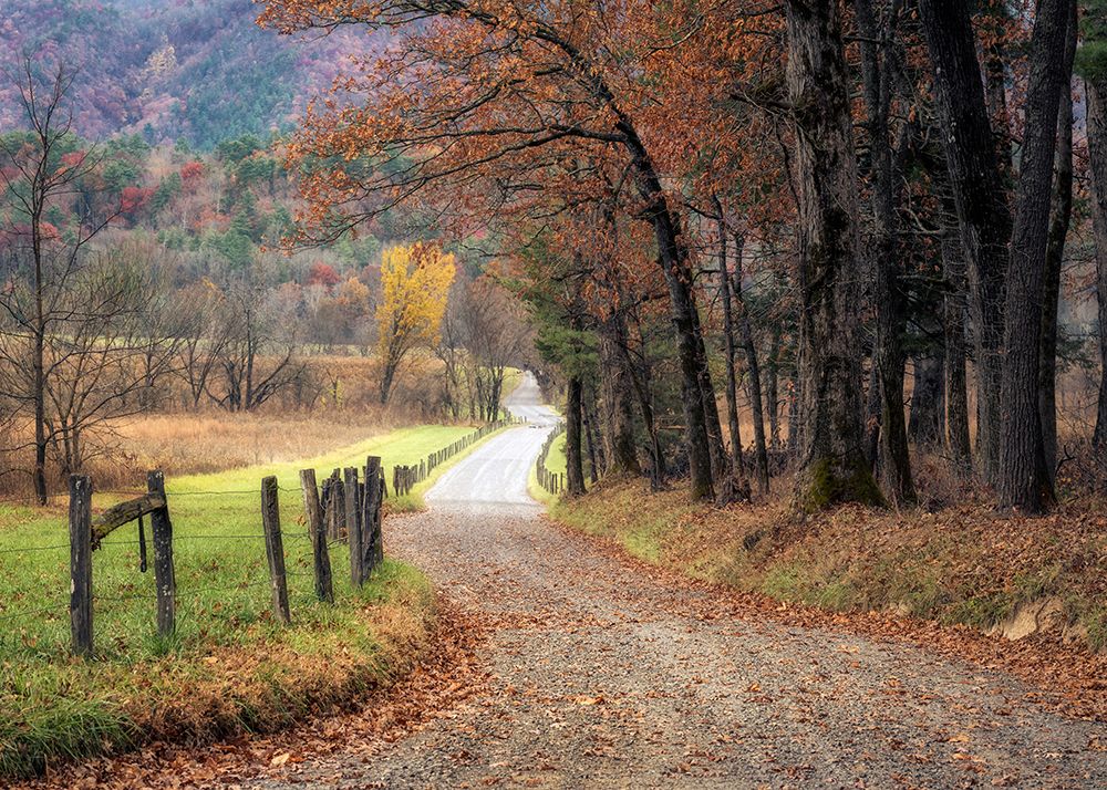 Autumn Drive I art print by Danny Head for $57.95 CAD
