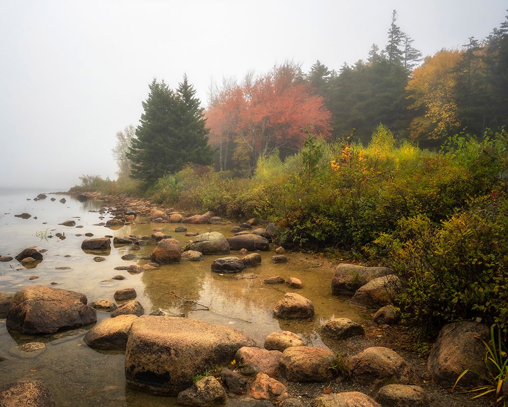 Misty Maine art print by Danny Head for $57.95 CAD