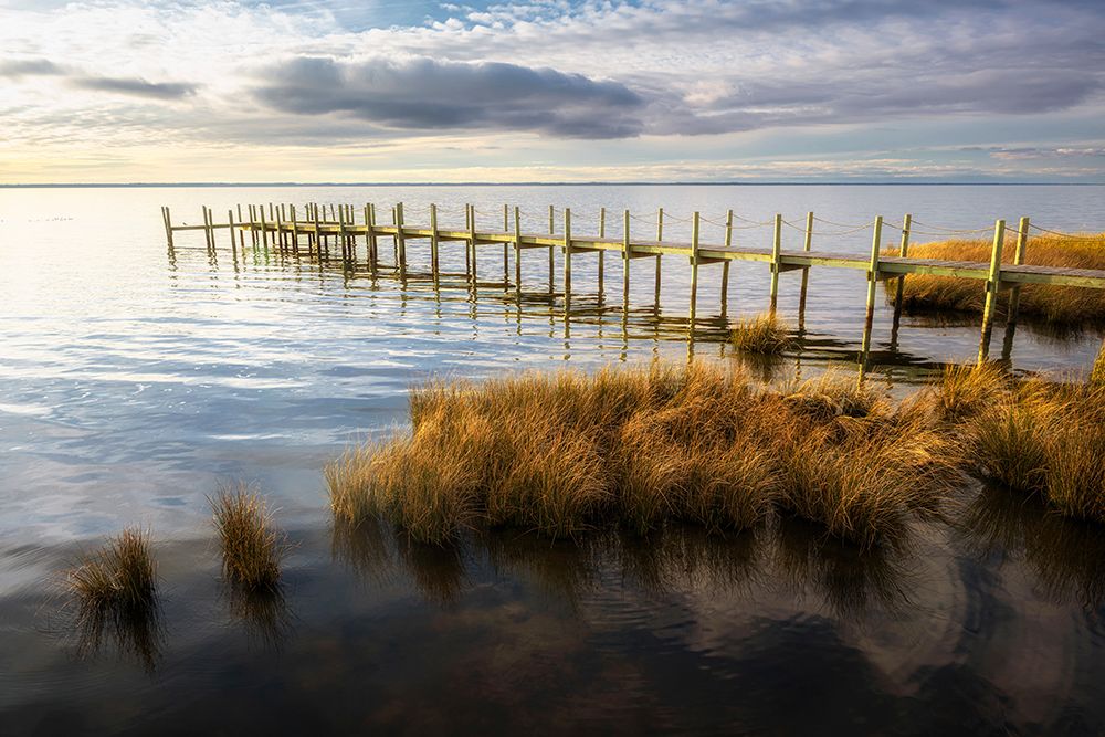 On the Sound II art print by Danny Head for $57.95 CAD