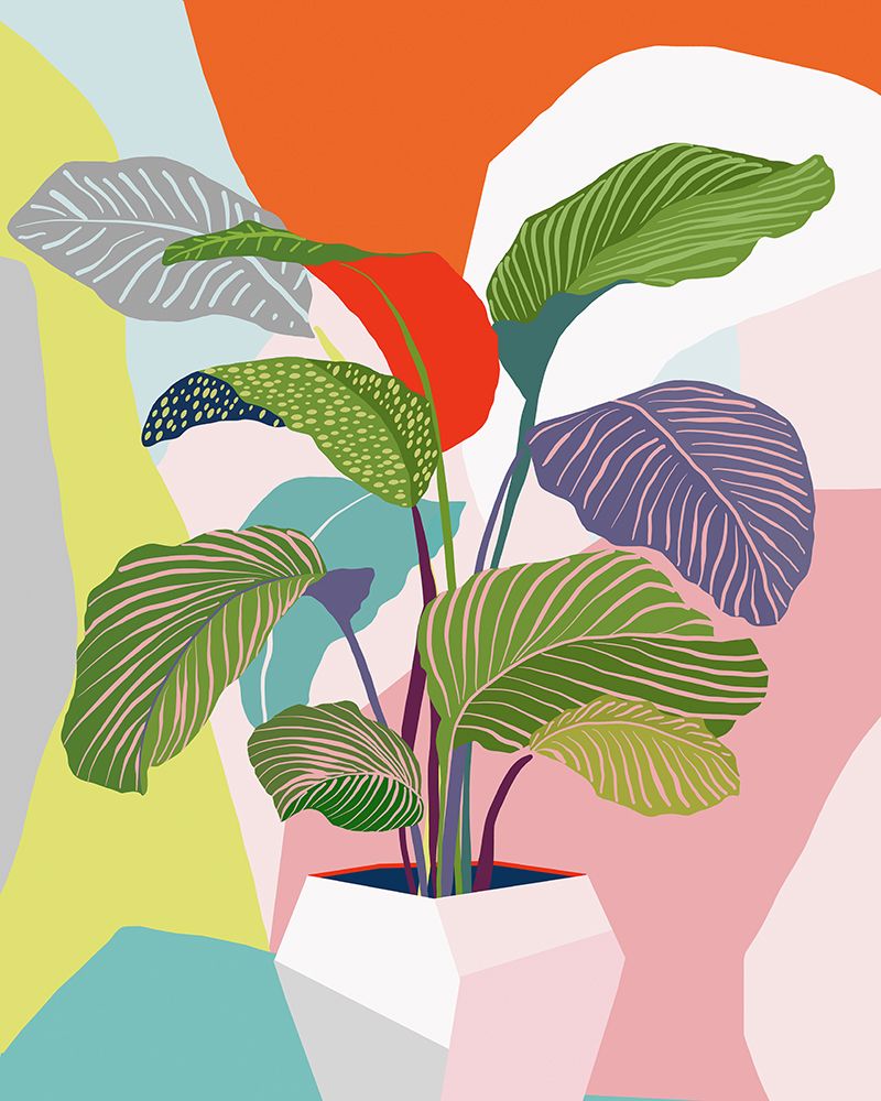 Exotic Plant art print by Ioana Horvat for $57.95 CAD