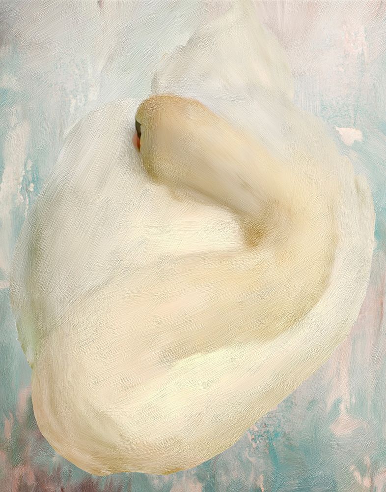 Cygnus art print by Porter Hastings for $57.95 CAD