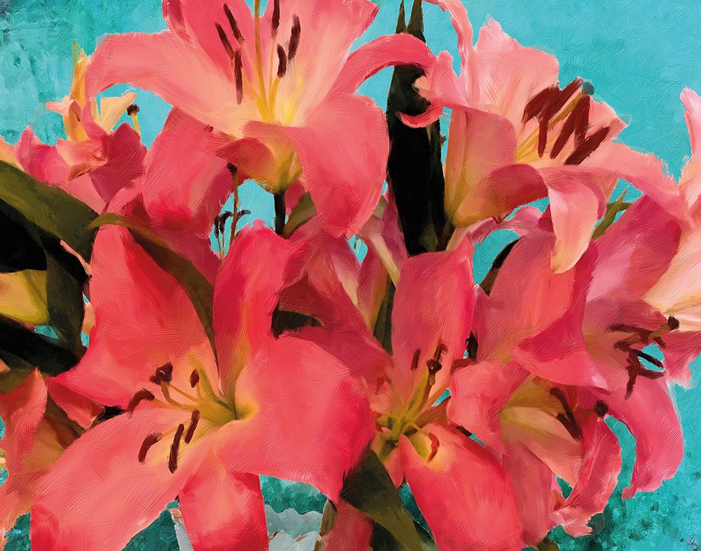 Fuchsia art print by Porter Hastings for $57.95 CAD
