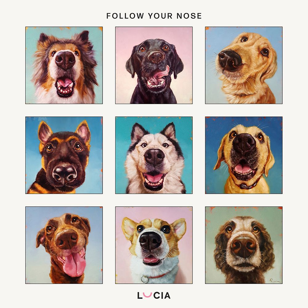 Follow Your Nose Collage art print by Lucia Heffernan for $57.95 CAD