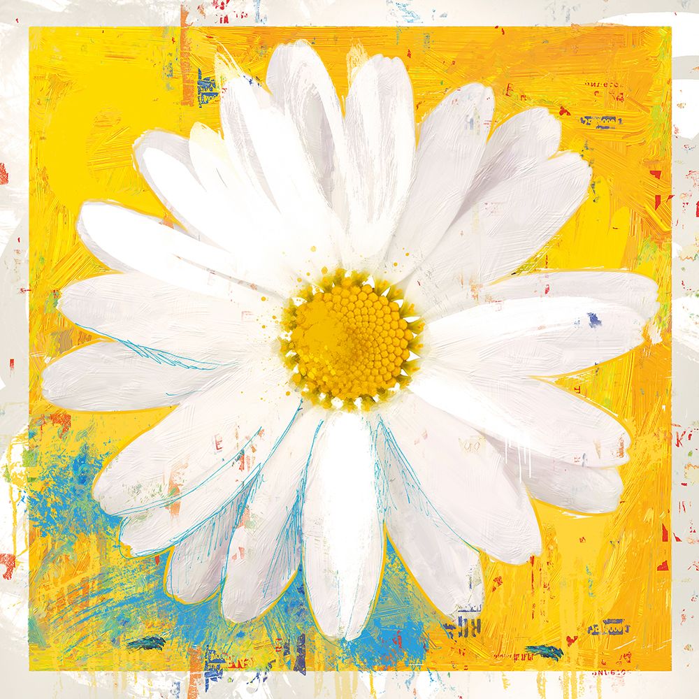Violets Daisy art print by Porter Hastings for $57.95 CAD
