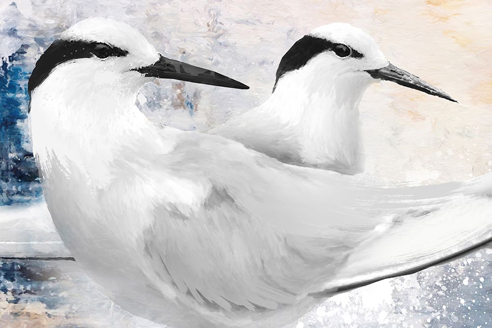 Black-Naped Tern art print by Porter Hastings for $57.95 CAD