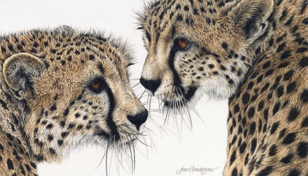 A Special Bond art print by Jan Henderson for $57.95 CAD