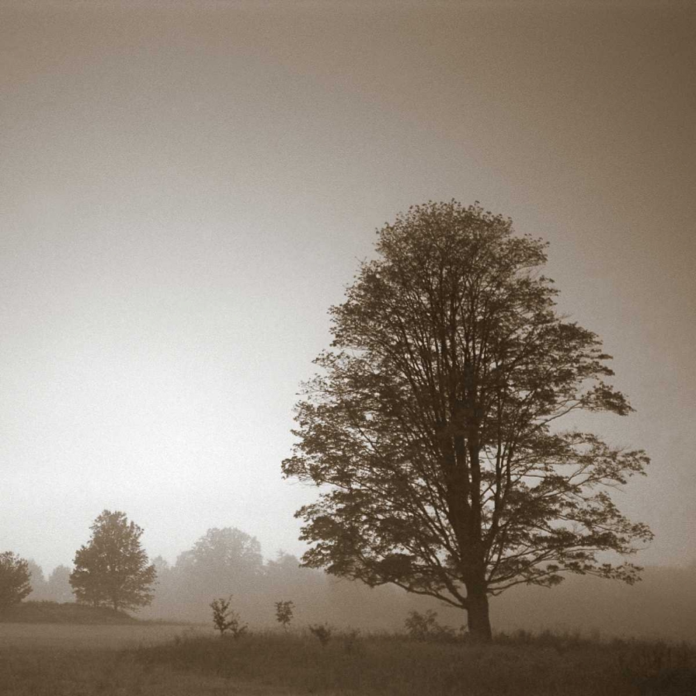 Stillness art print by PhotoINC Studio for $57.95 CAD