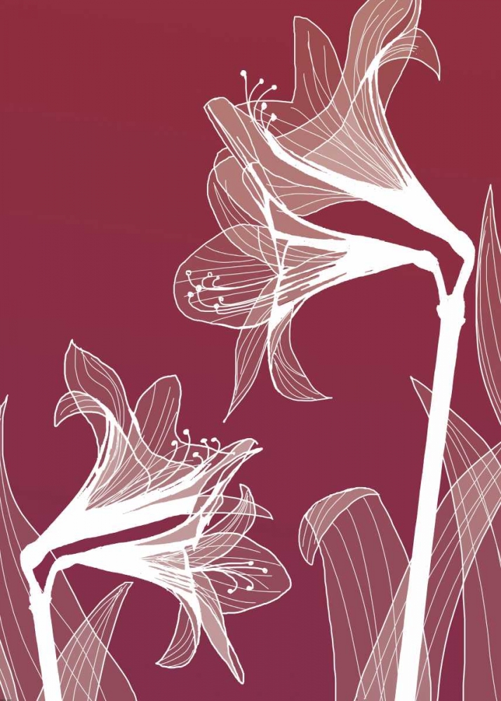 X-ray Flowers art print by GraphINC for $57.95 CAD