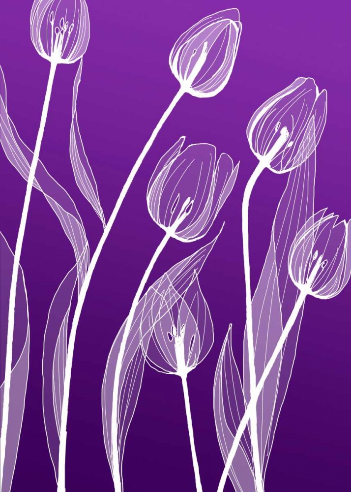 X-ray Flowers art print by GraphINC for $57.95 CAD
