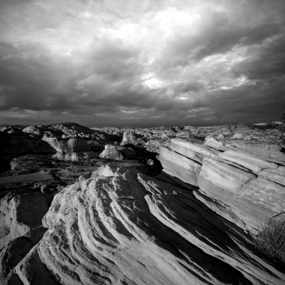 Canyon View art print by PhotoINC Studio for $57.95 CAD