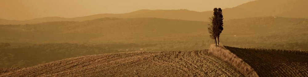 Toscana Landscape art print by PhotoINC Studio for $57.95 CAD