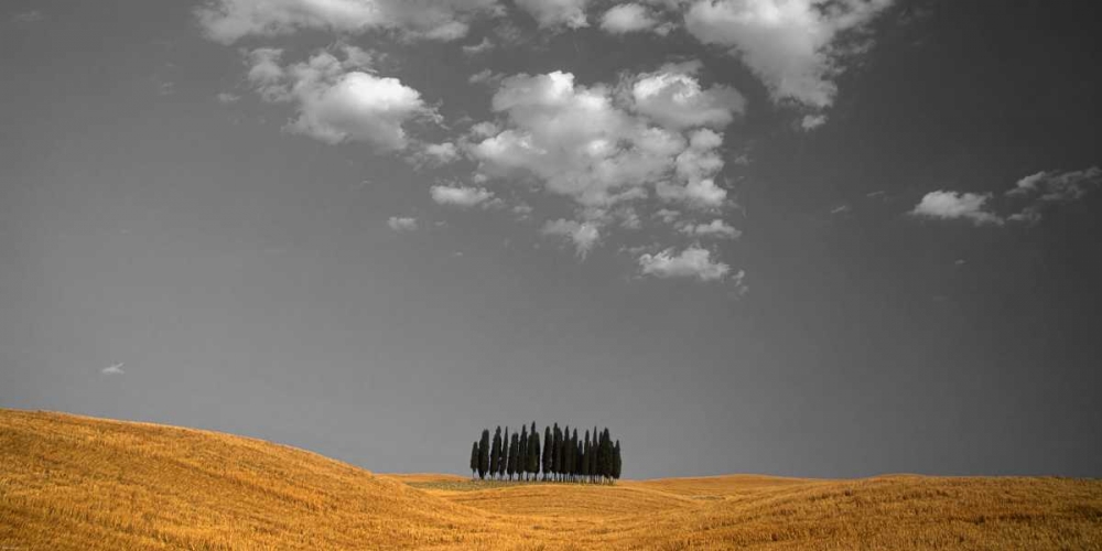 Toscana Landscape art print by PhotoINC Studio for $57.95 CAD