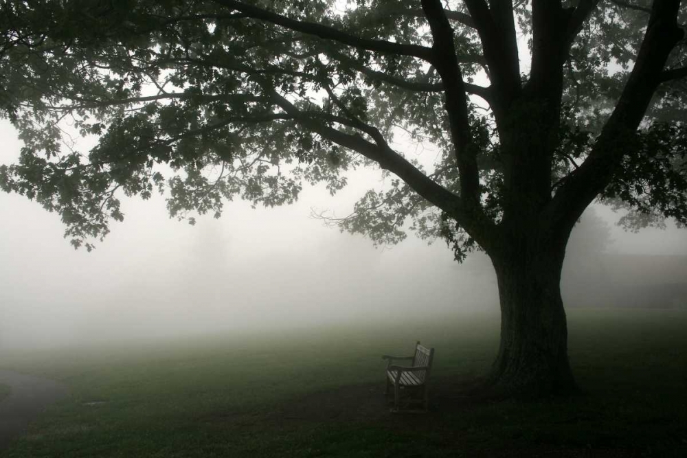 Misty Bench art print by PhotoINC Studio for $57.95 CAD
