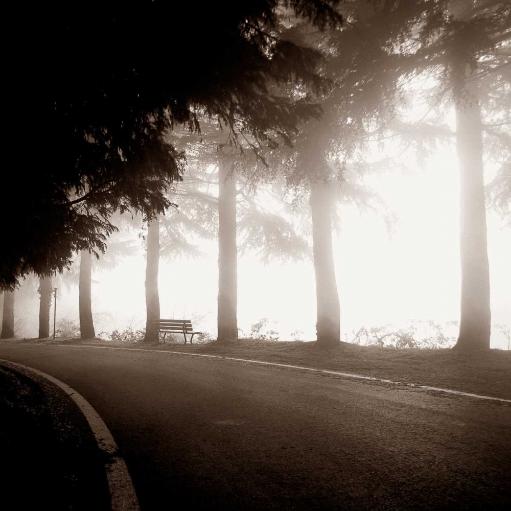 Roadside Bench art print by PhotoINC Studio for $57.95 CAD