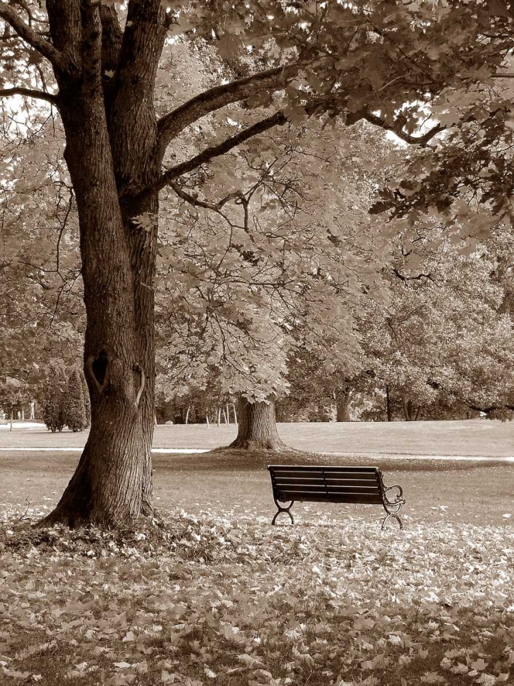 Park View art print by PhotoINC Studio for $57.95 CAD