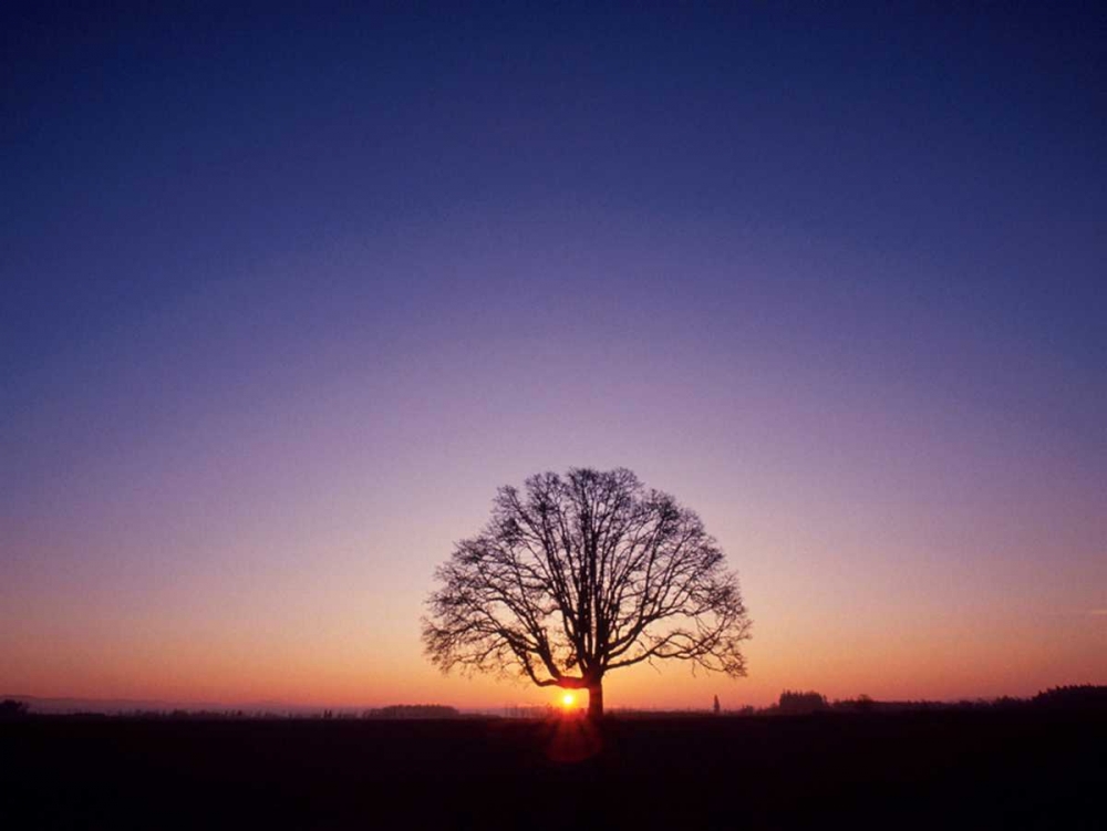 Sundown art print by PhotoINC Studio for $57.95 CAD