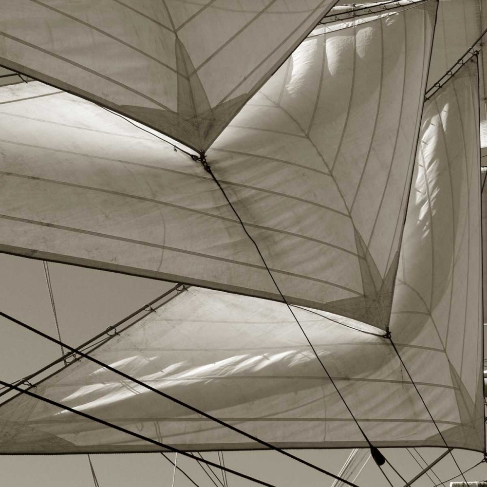 Sails art print by PhotoINC Studio for $57.95 CAD