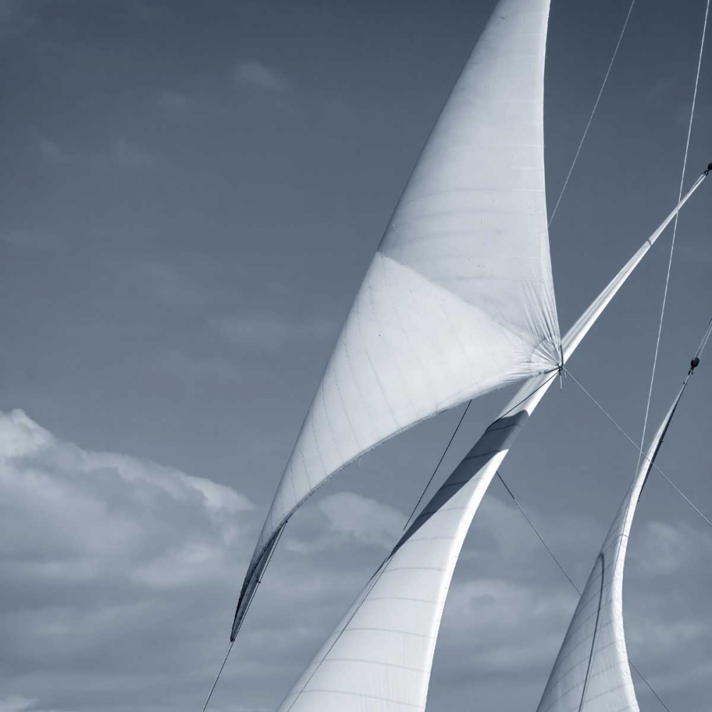 Sails art print by PhotoINC Studio for $57.95 CAD