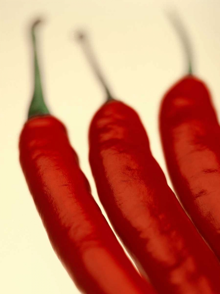 Chili art print by PhotoINC Studio for $57.95 CAD