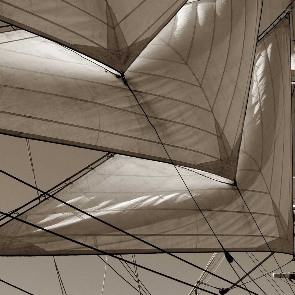 Sails art print by PhotoINC Studio for $57.95 CAD