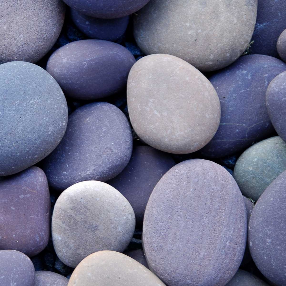 Purple Pebbles art print by PhotoINC Studio for $57.95 CAD