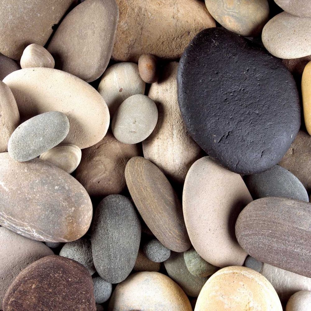 Brown Pebbles art print by PhotoINC Studio for $57.95 CAD